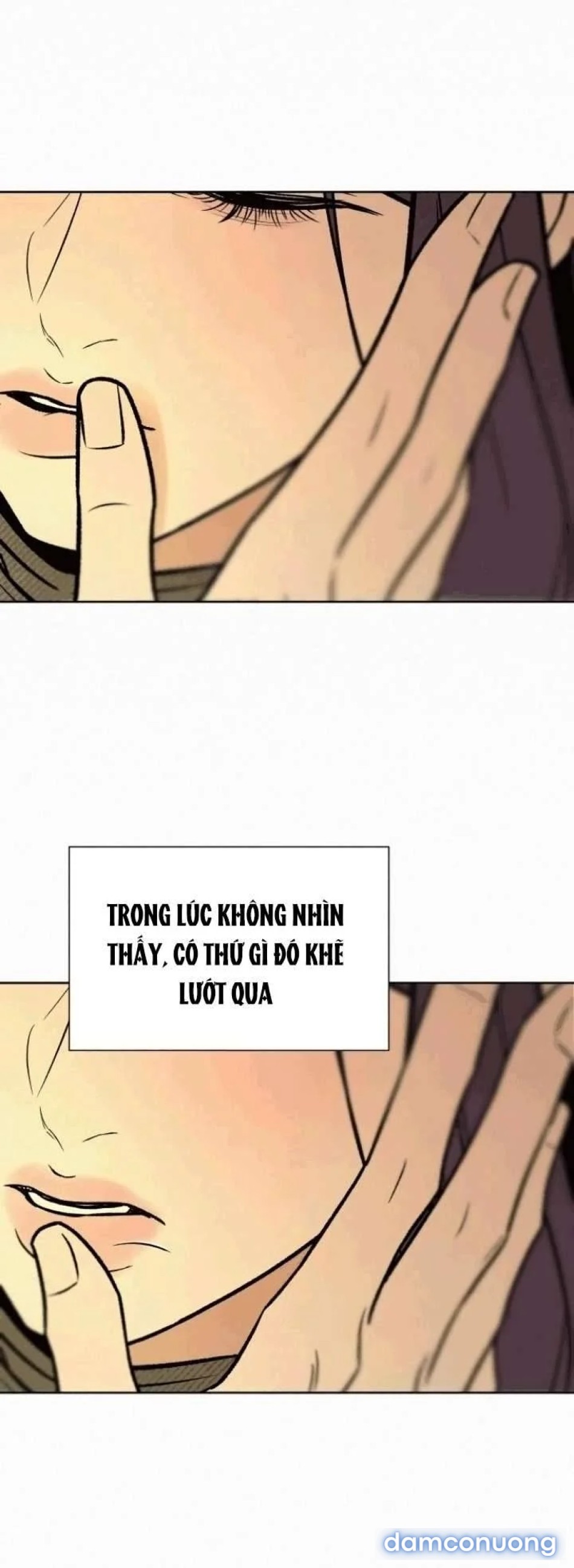 Tình Yêu Trong Sáng 