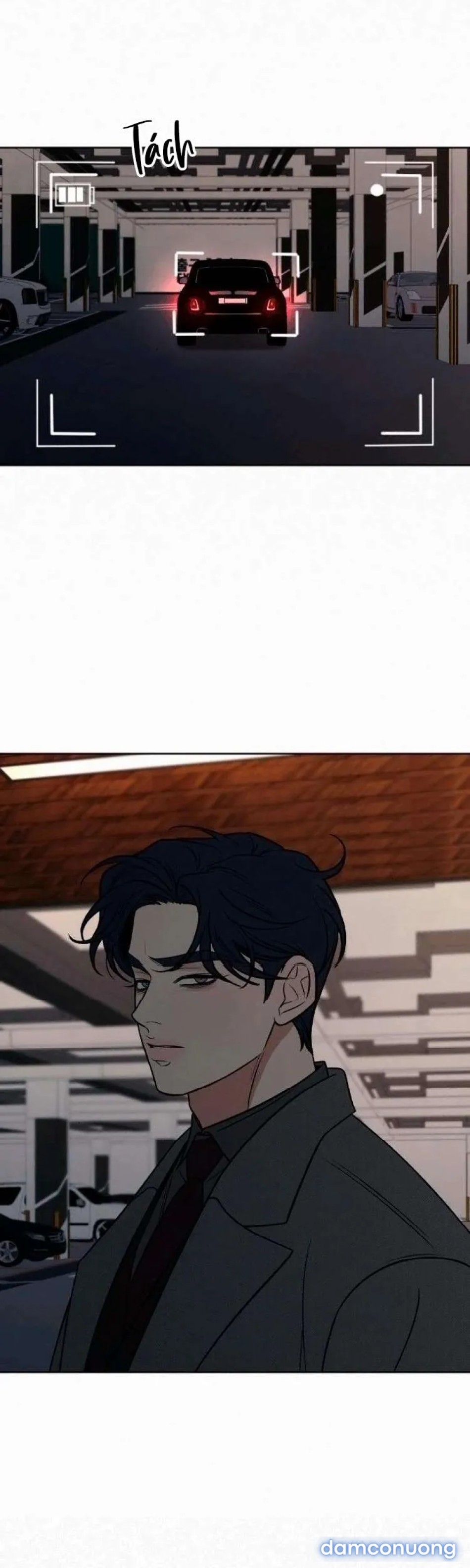 Tình Yêu Trong Sáng 