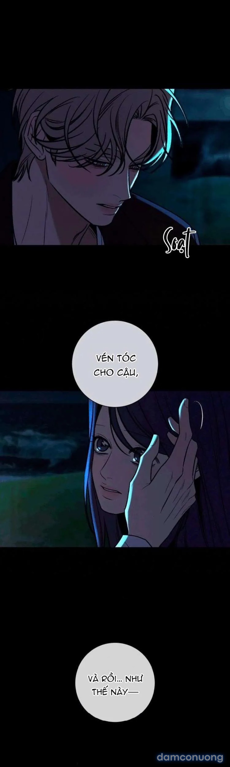 Tình Yêu Trong Sáng 