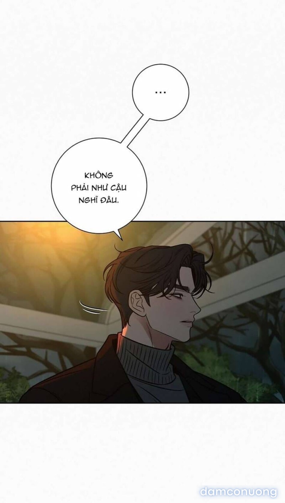 Tình Yêu Trong Sáng 