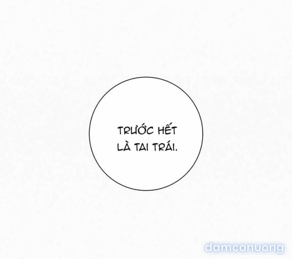 Tình Yêu Trong Sáng 