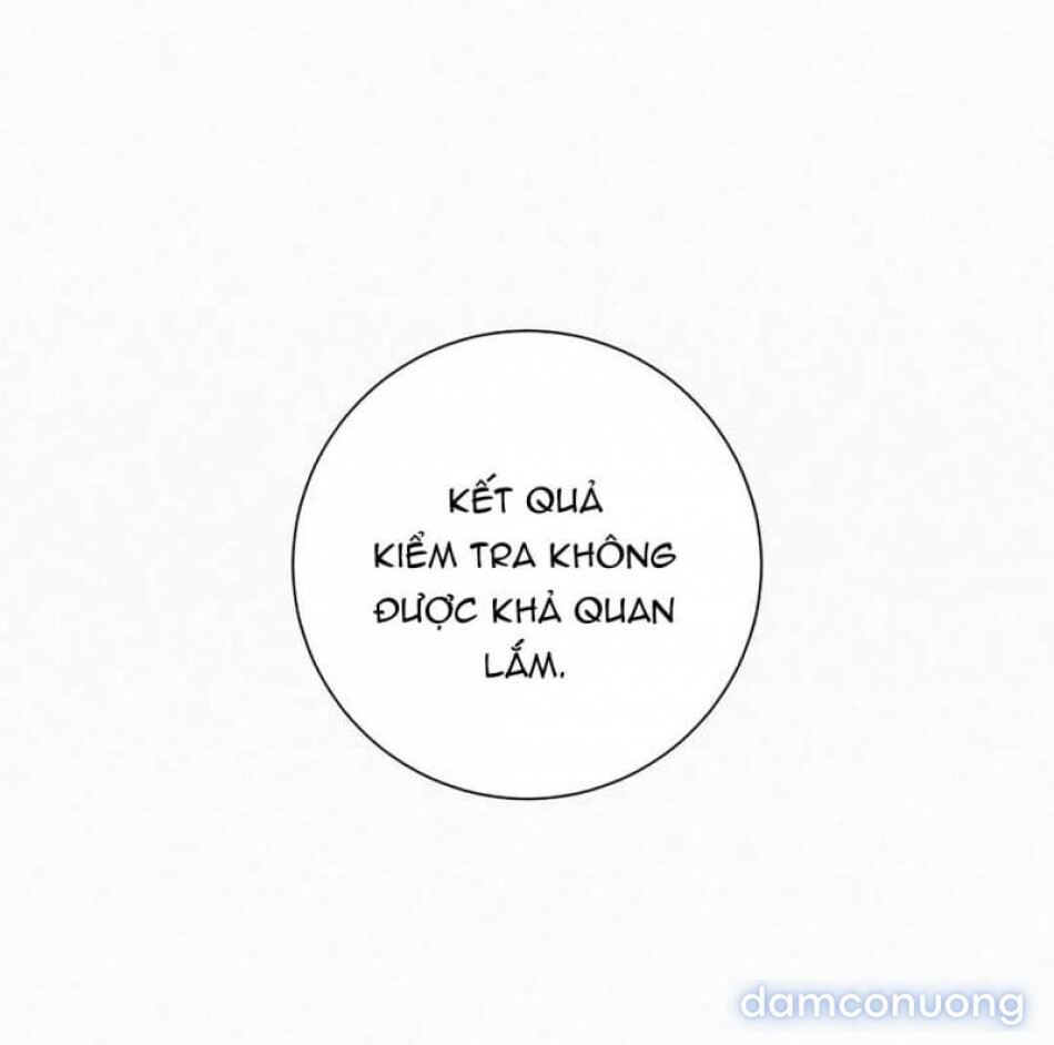 Tình Yêu Trong Sáng 