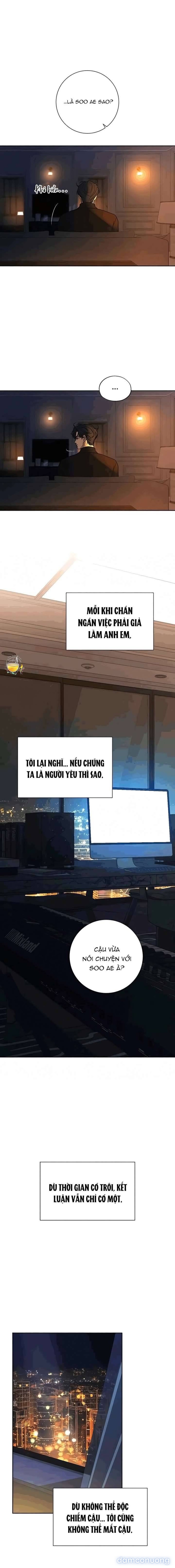 Tình Yêu Trong Sáng 