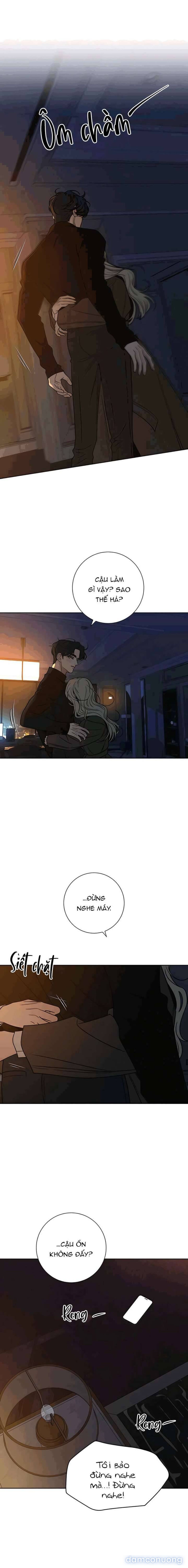 Tình Yêu Trong Sáng 