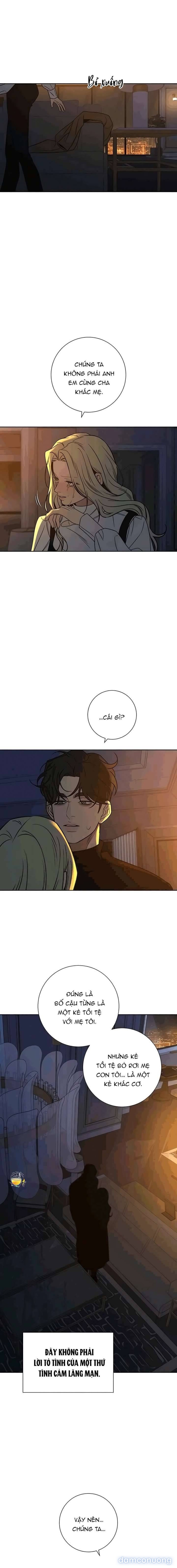 Tình Yêu Trong Sáng 