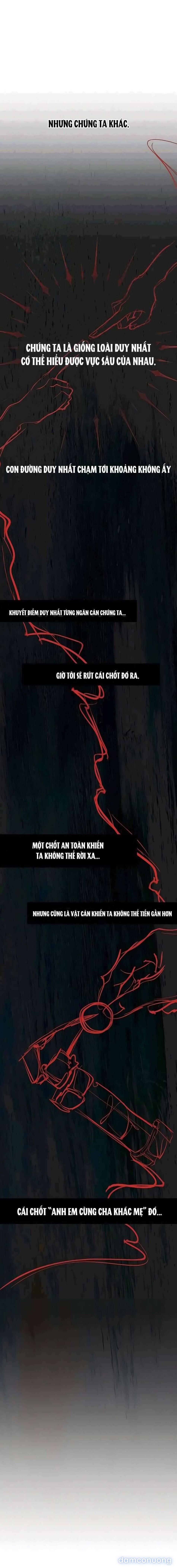 Tình Yêu Trong Sáng 