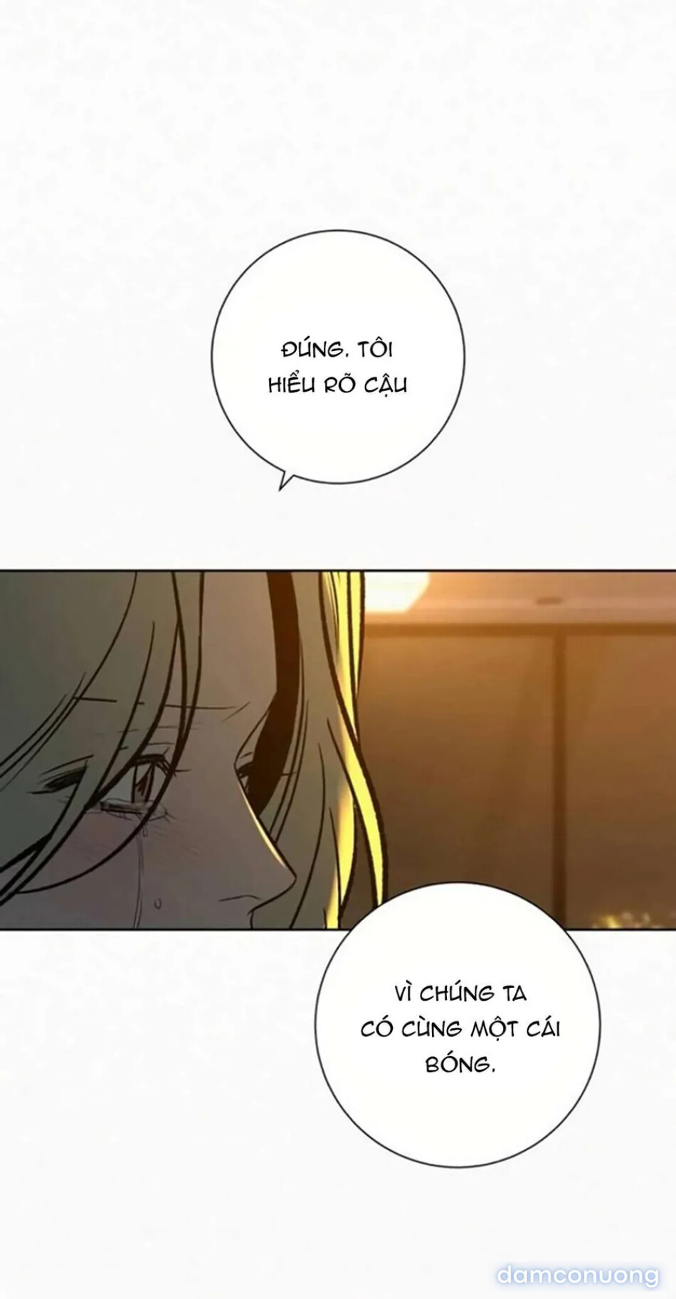 Tình Yêu Trong Sáng 