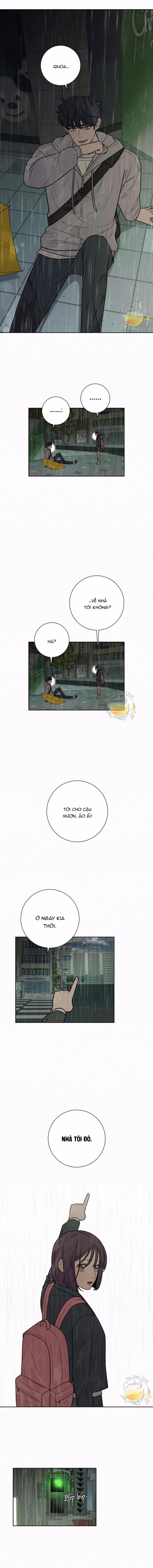 Tình Yêu Trong Sáng 