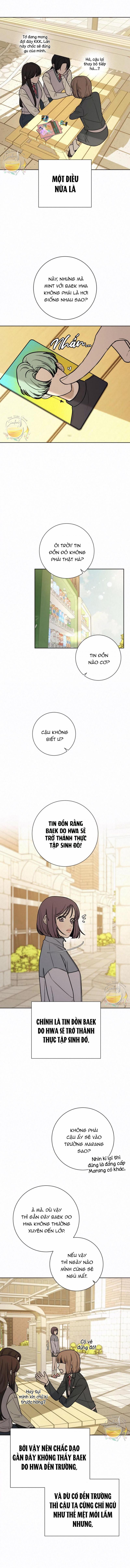 Tình Yêu Trong Sáng 