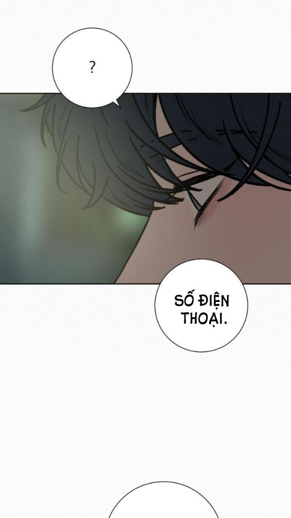 Tình Yêu Trong Sáng 