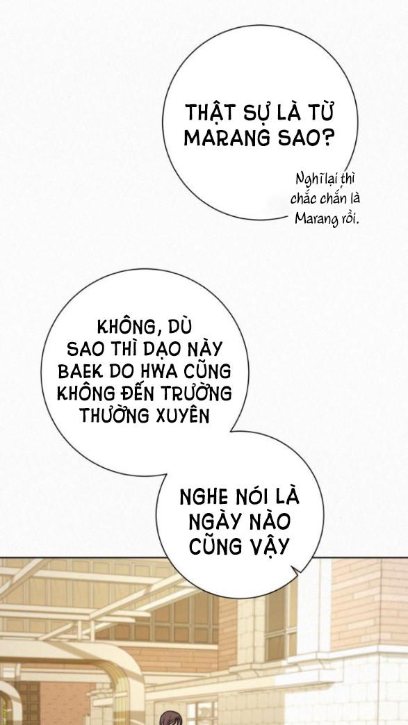 Tình Yêu Trong Sáng 