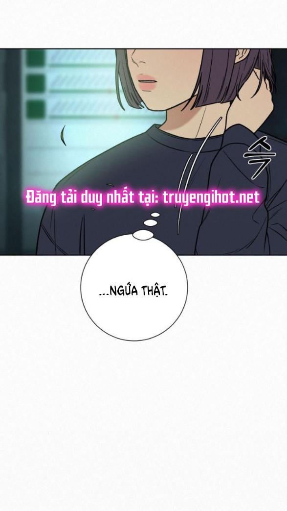 Tình Yêu Trong Sáng 