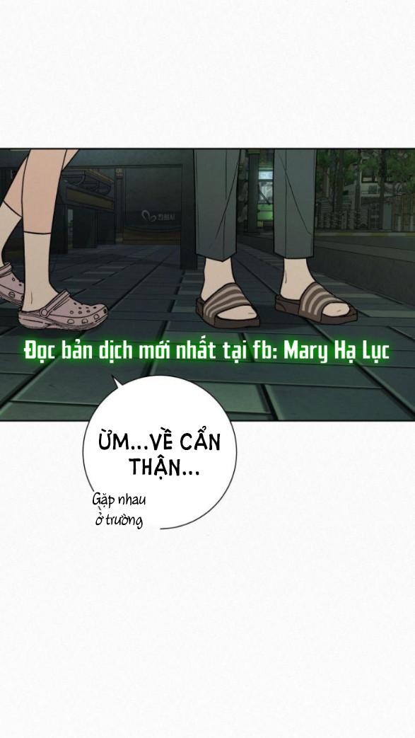 Tình Yêu Trong Sáng 