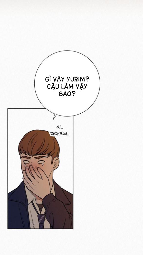 Tình Yêu Trong Sáng 