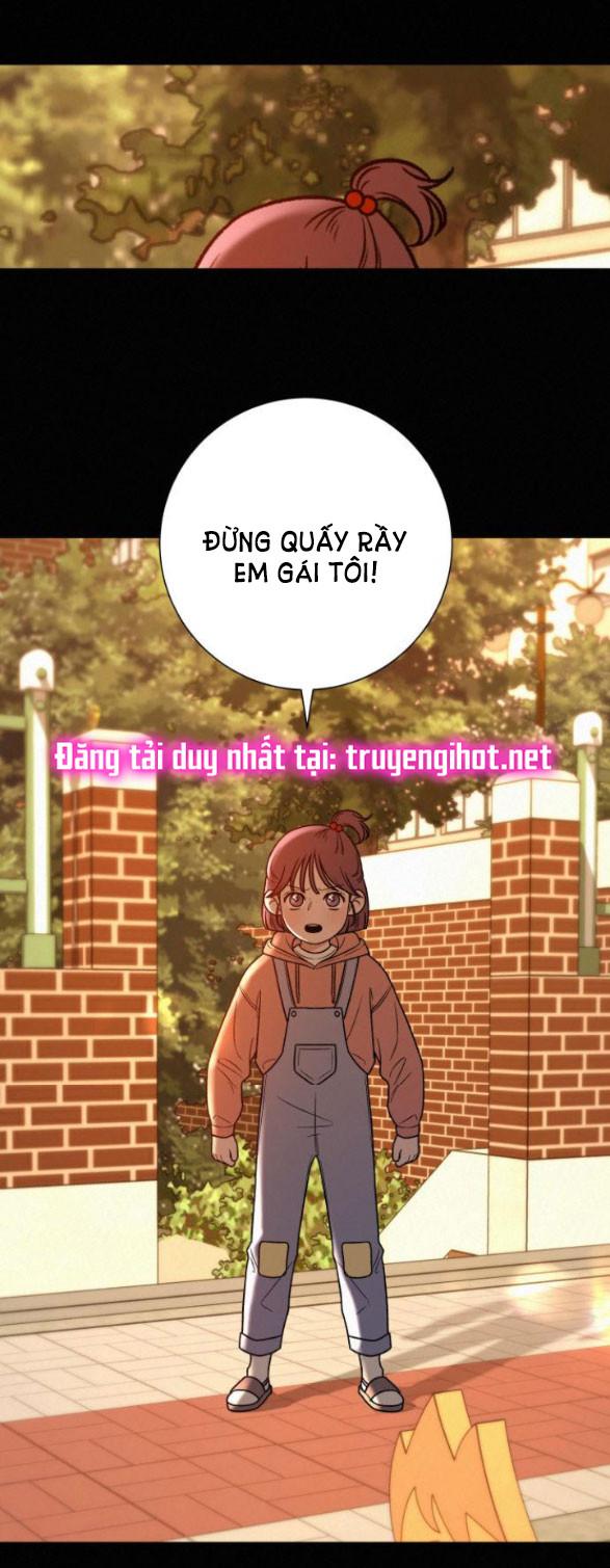 Tình Yêu Trong Sáng 