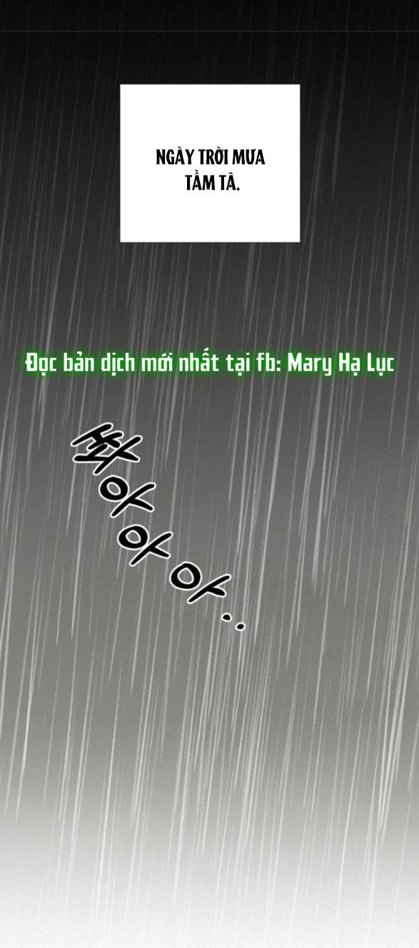 Tình Yêu Trong Sáng 