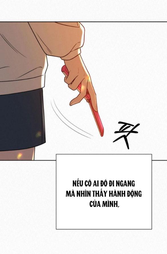Tình Yêu Trong Sáng 