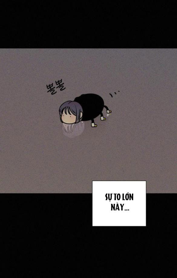Tình Yêu Trong Sáng 