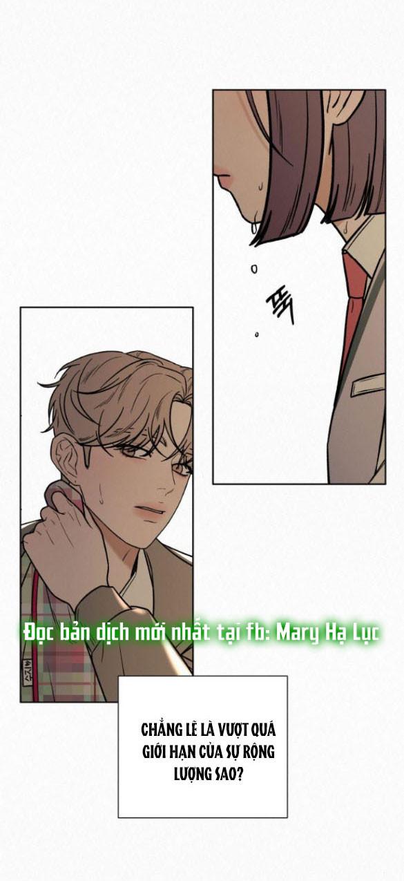 Tình Yêu Trong Sáng 