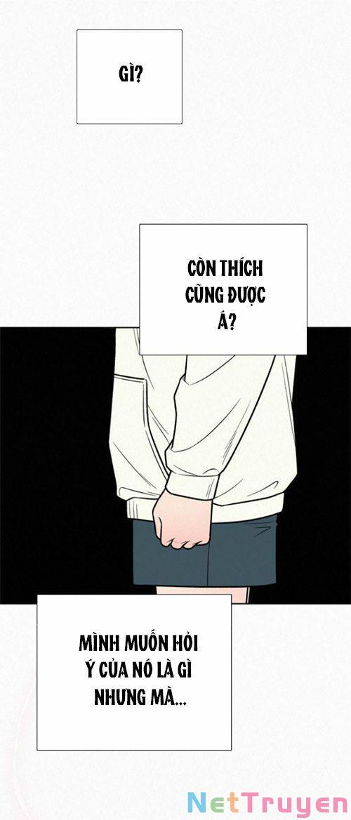 Tình Yêu Trong Sáng 