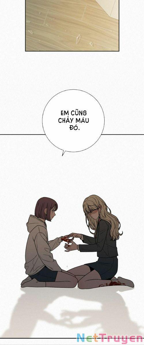 Tình Yêu Trong Sáng 