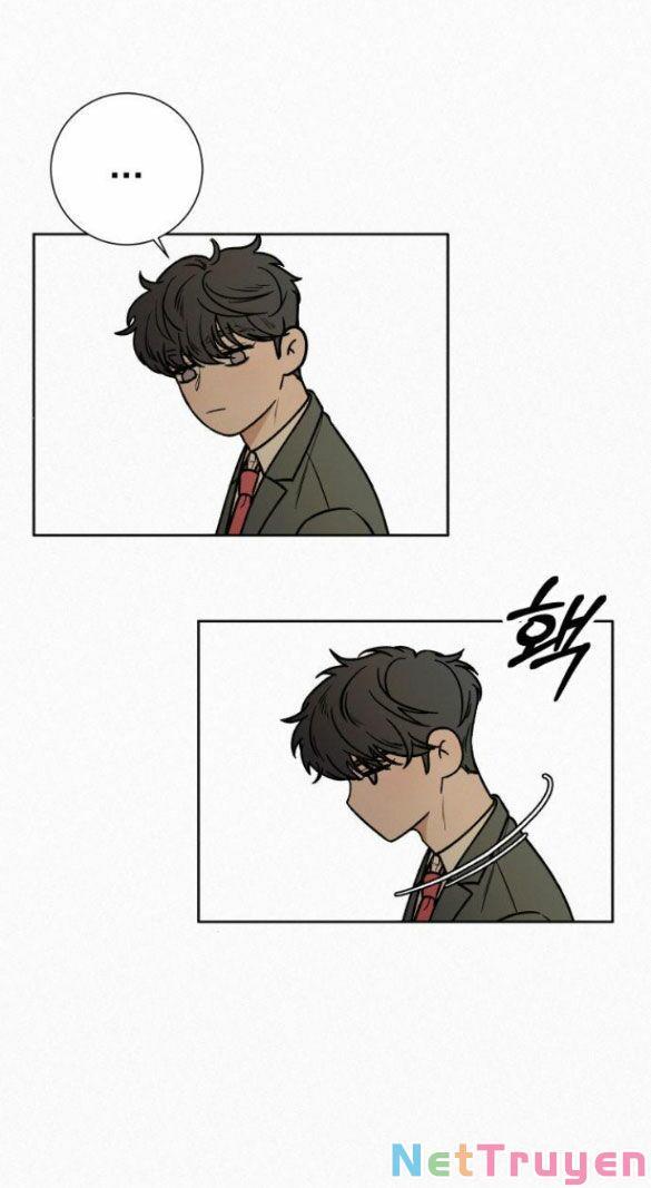 Tình Yêu Trong Sáng 