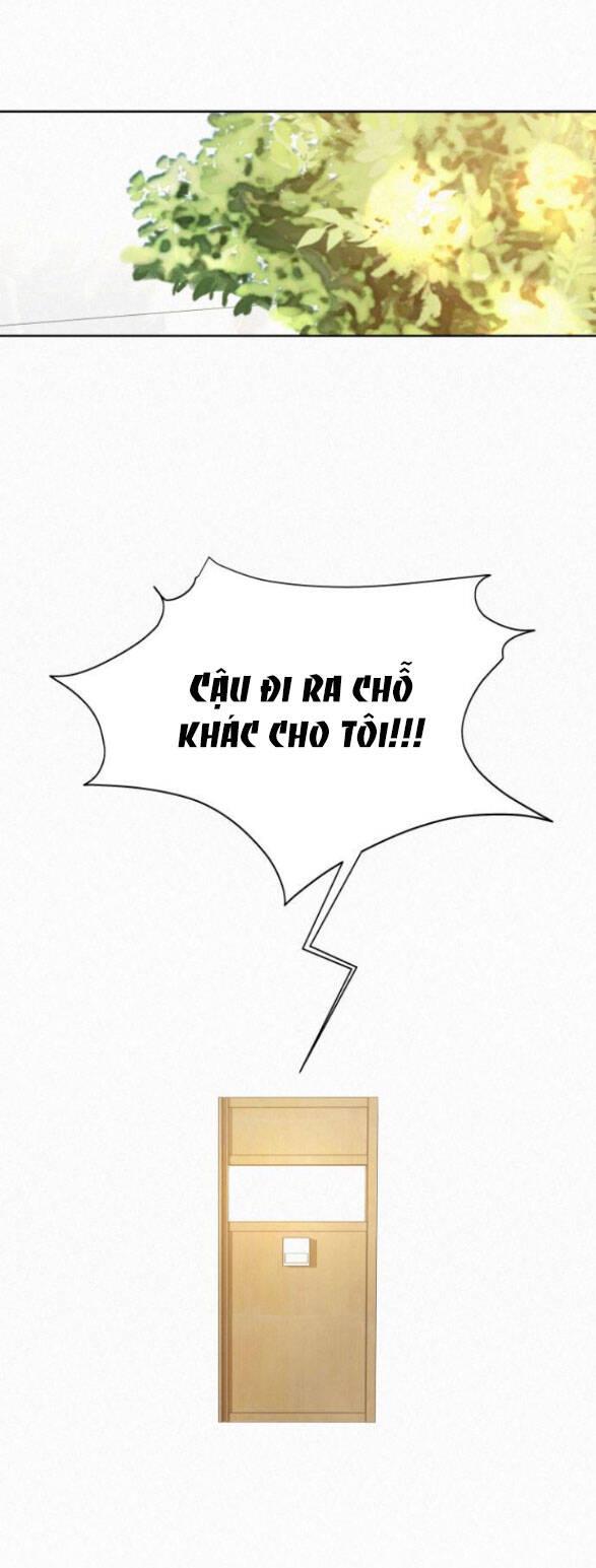 Tình Yêu Trong Sáng 
