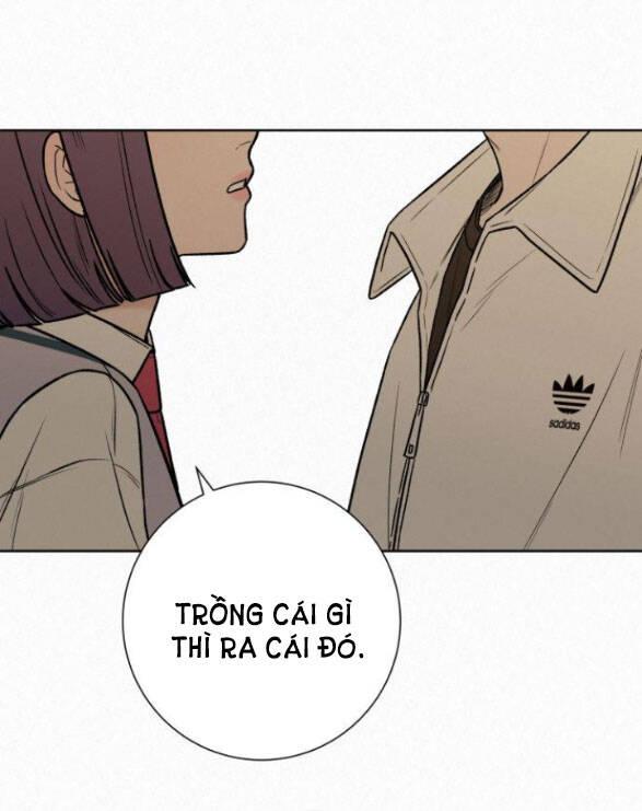Tình Yêu Trong Sáng 