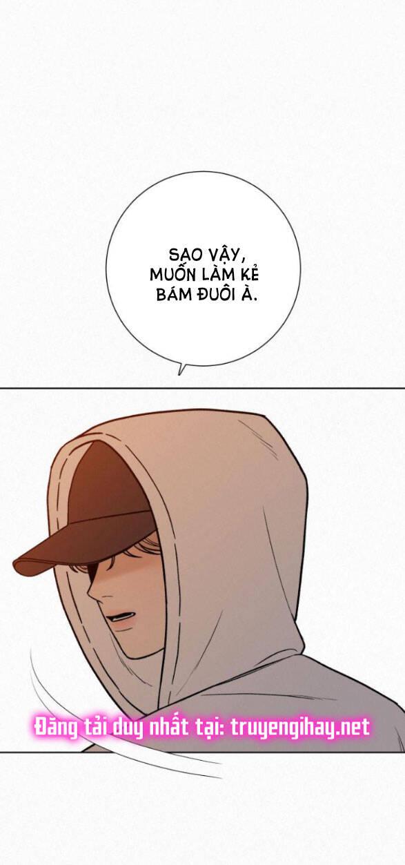 Tình Yêu Trong Sáng 