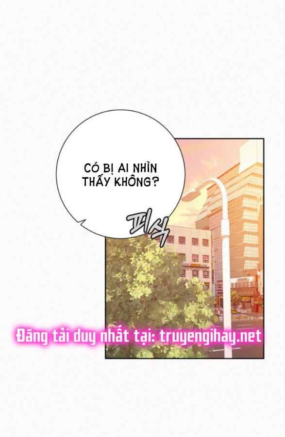 Tình Yêu Trong Sáng 