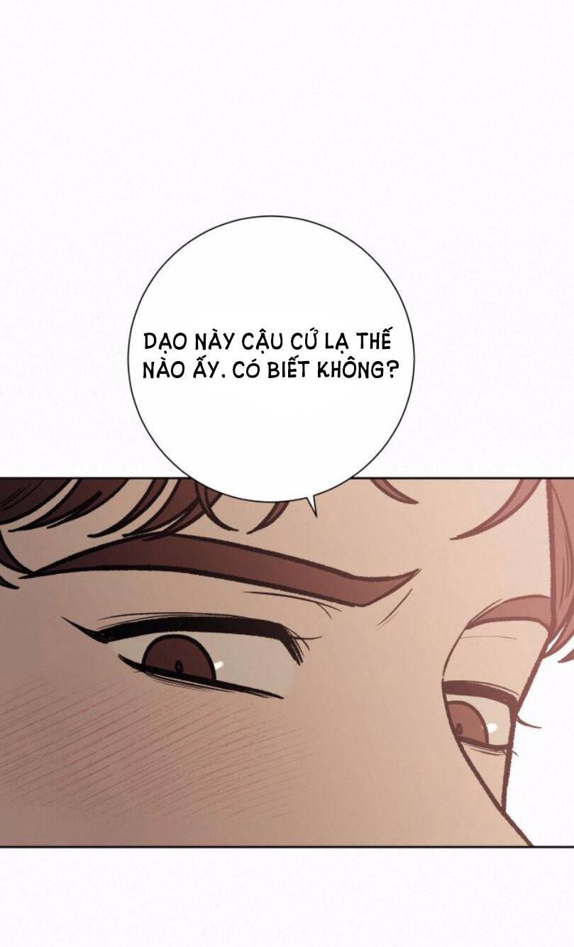 Tình Yêu Trong Sáng 