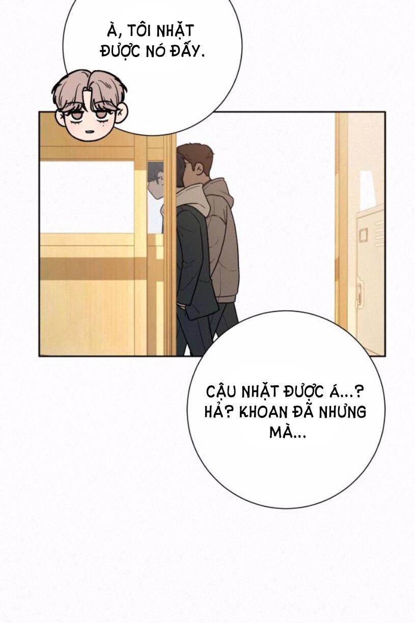 Tình Yêu Trong Sáng 