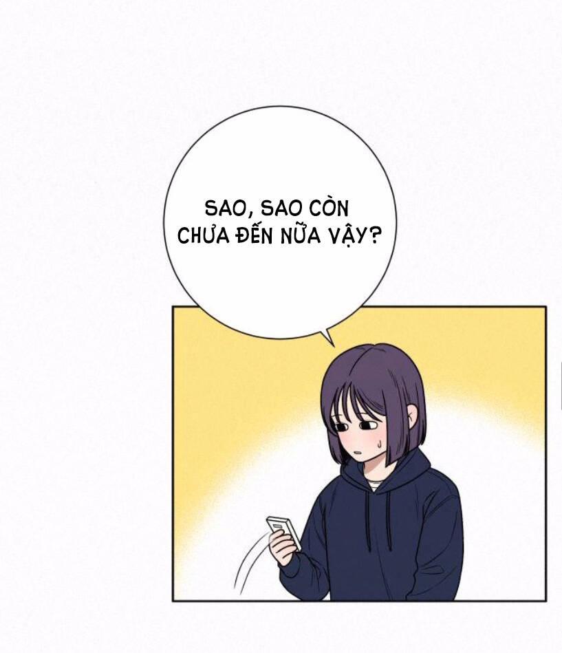 Tình Yêu Trong Sáng 