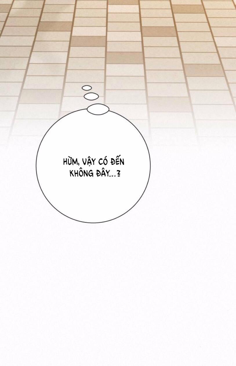 Tình Yêu Trong Sáng 