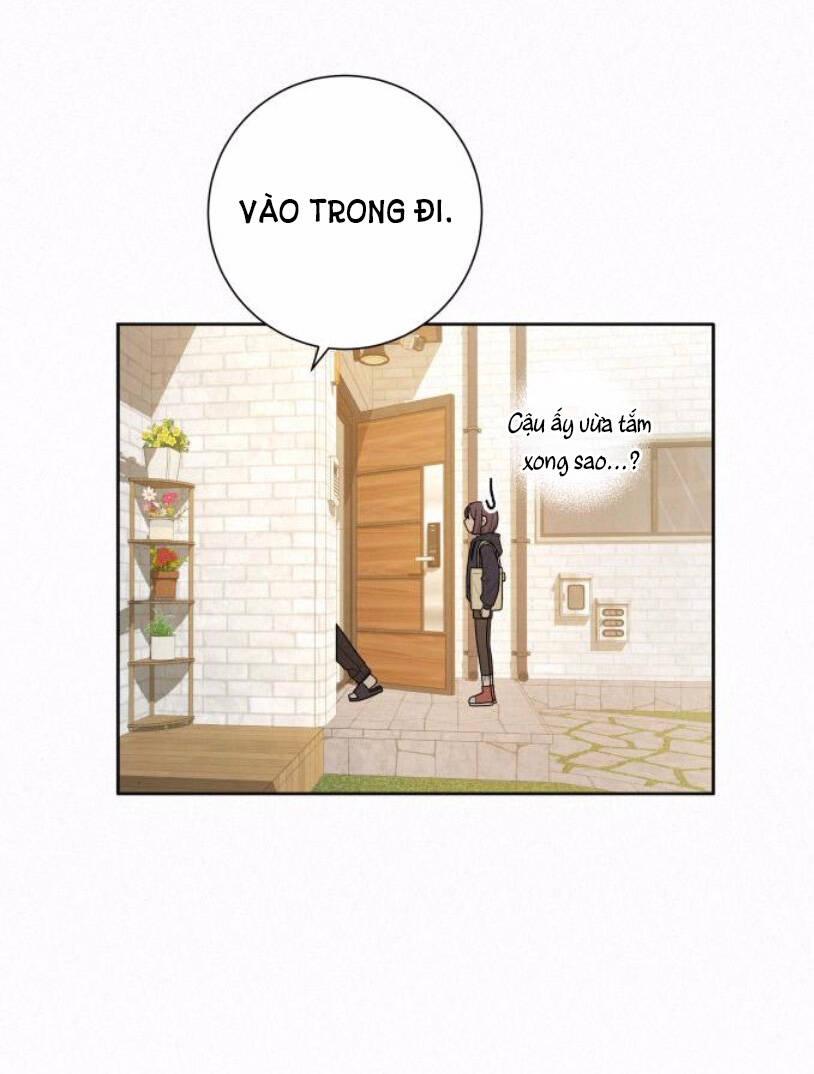 Tình Yêu Trong Sáng 