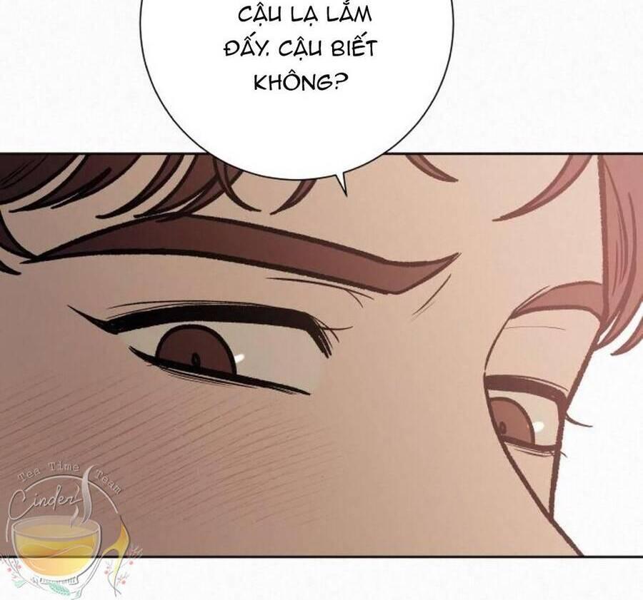 Tình Yêu Trong Sáng 