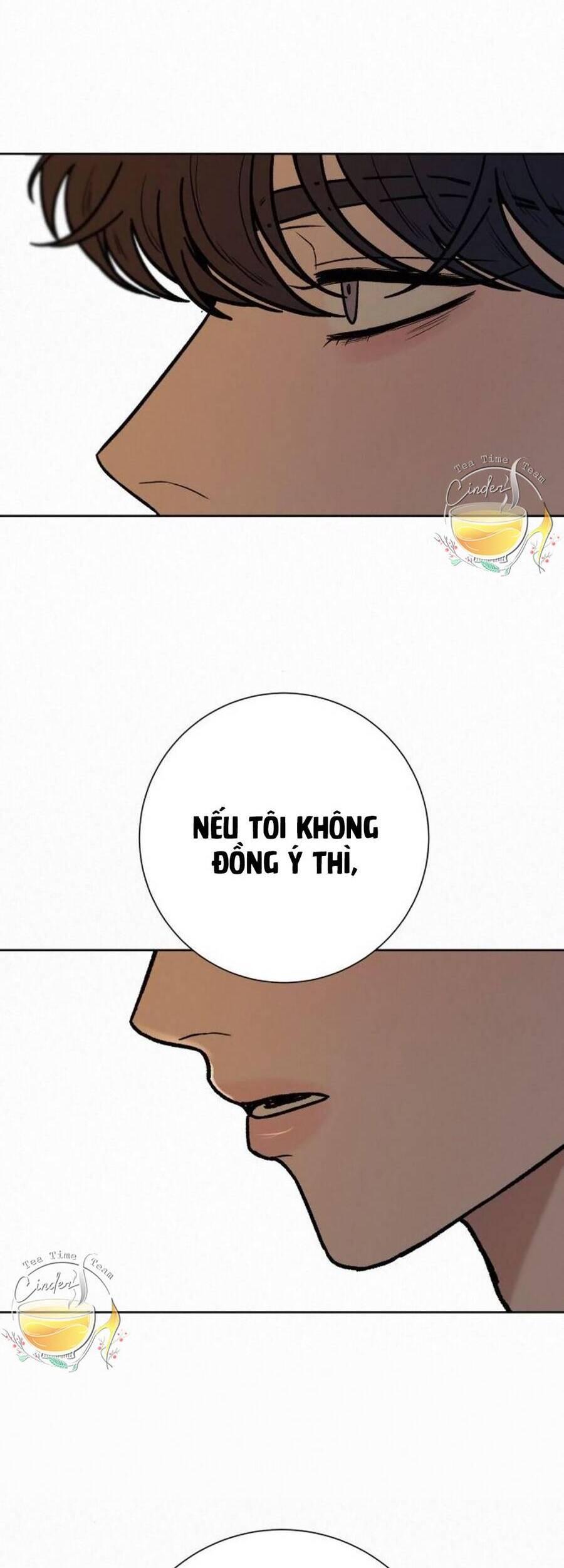 Tình Yêu Trong Sáng 