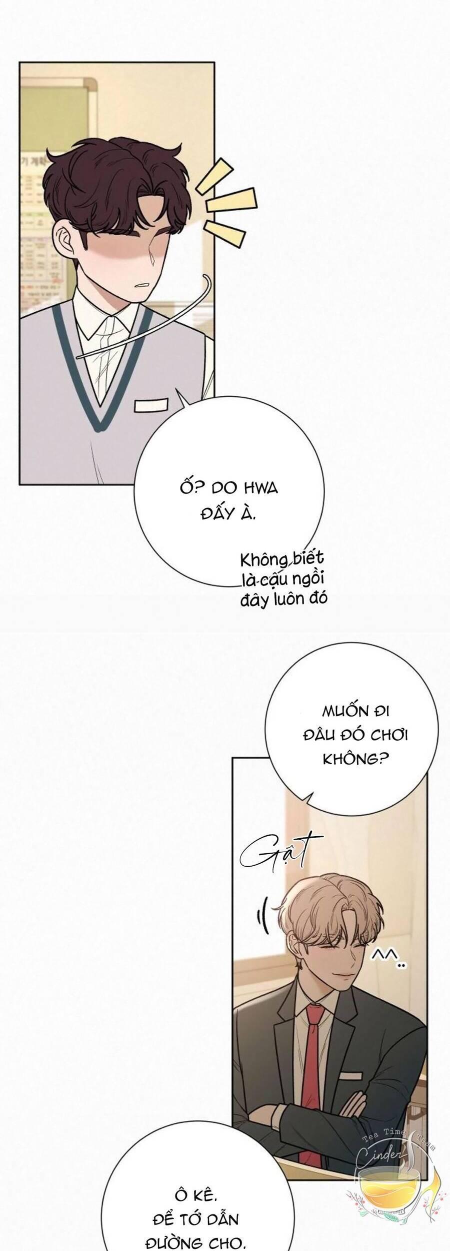 Tình Yêu Trong Sáng 