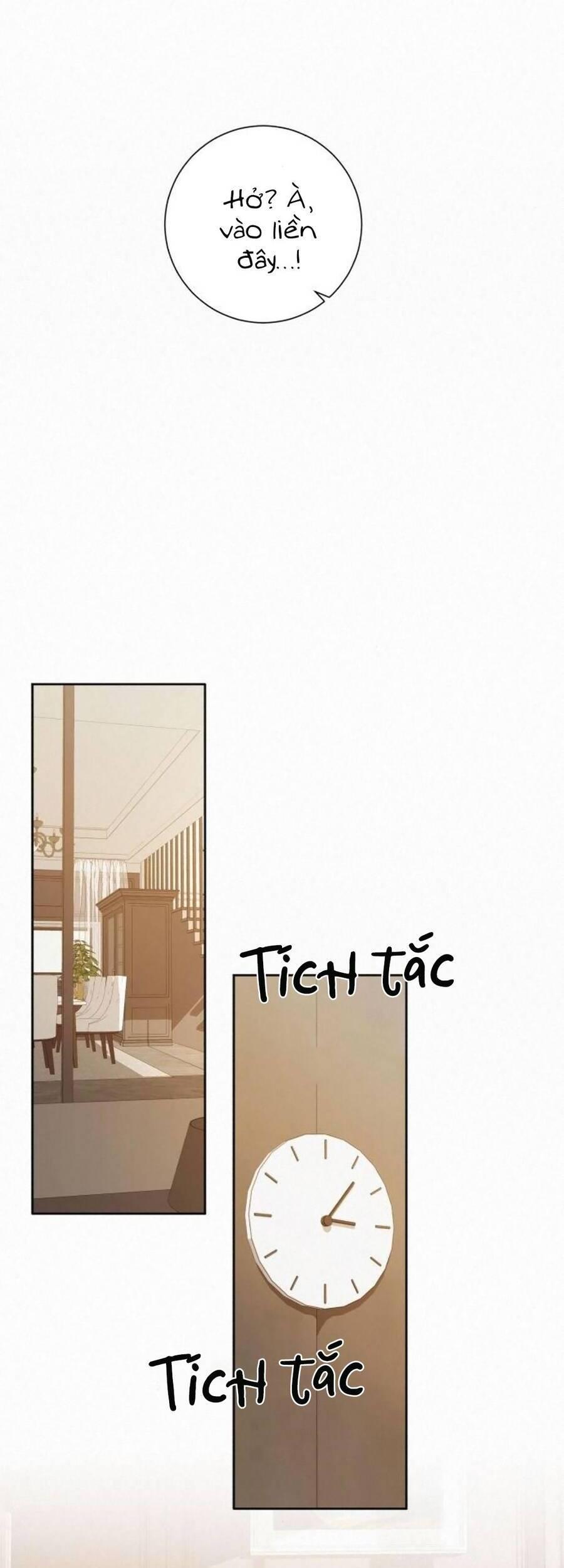 Tình Yêu Trong Sáng 