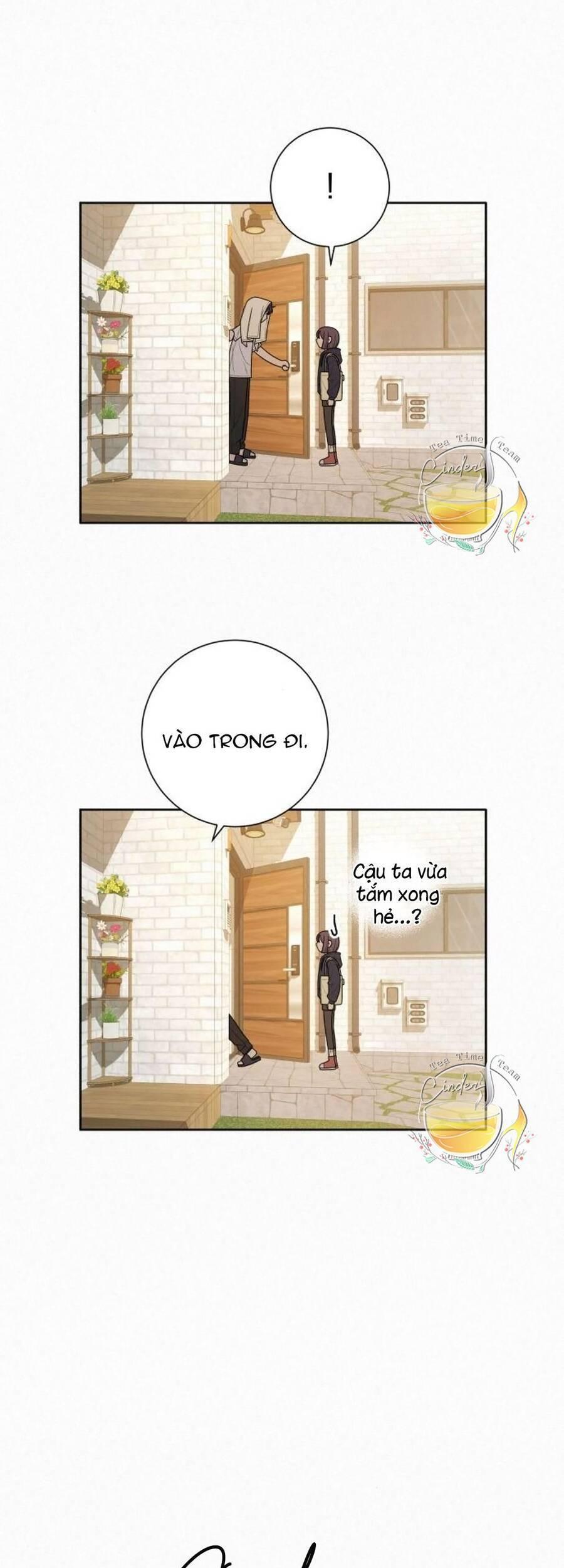 Tình Yêu Trong Sáng 