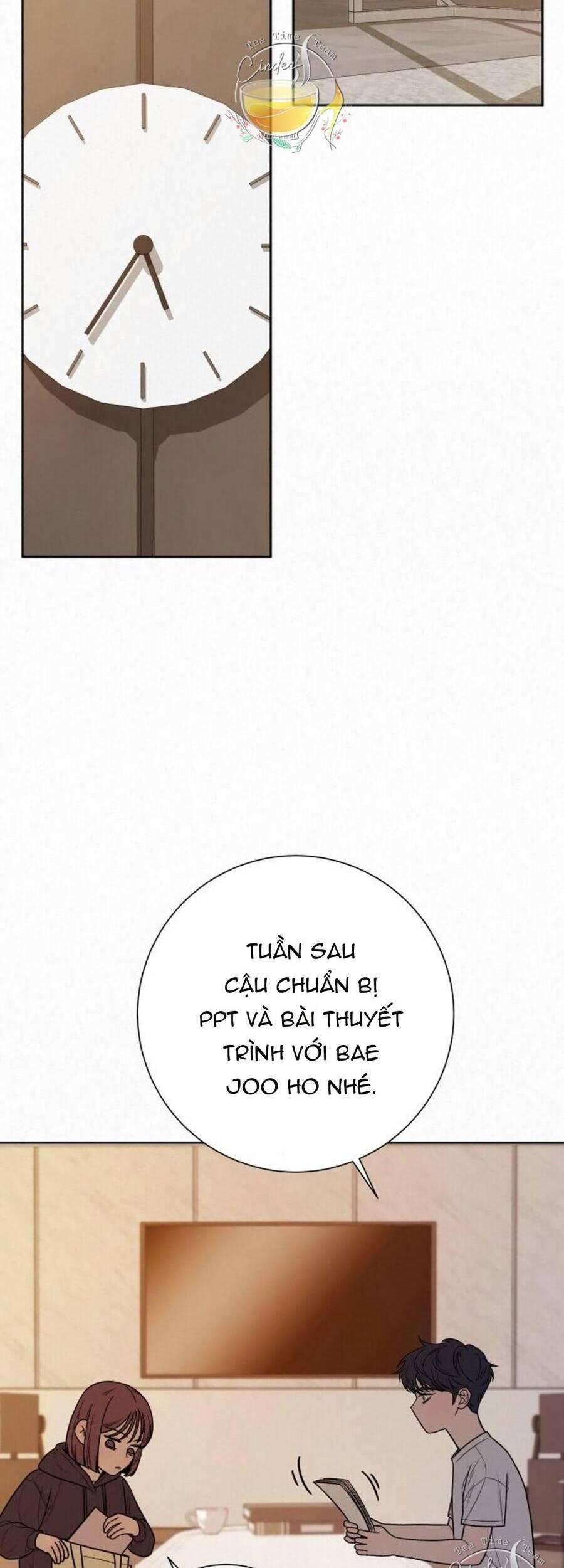 Tình Yêu Trong Sáng 