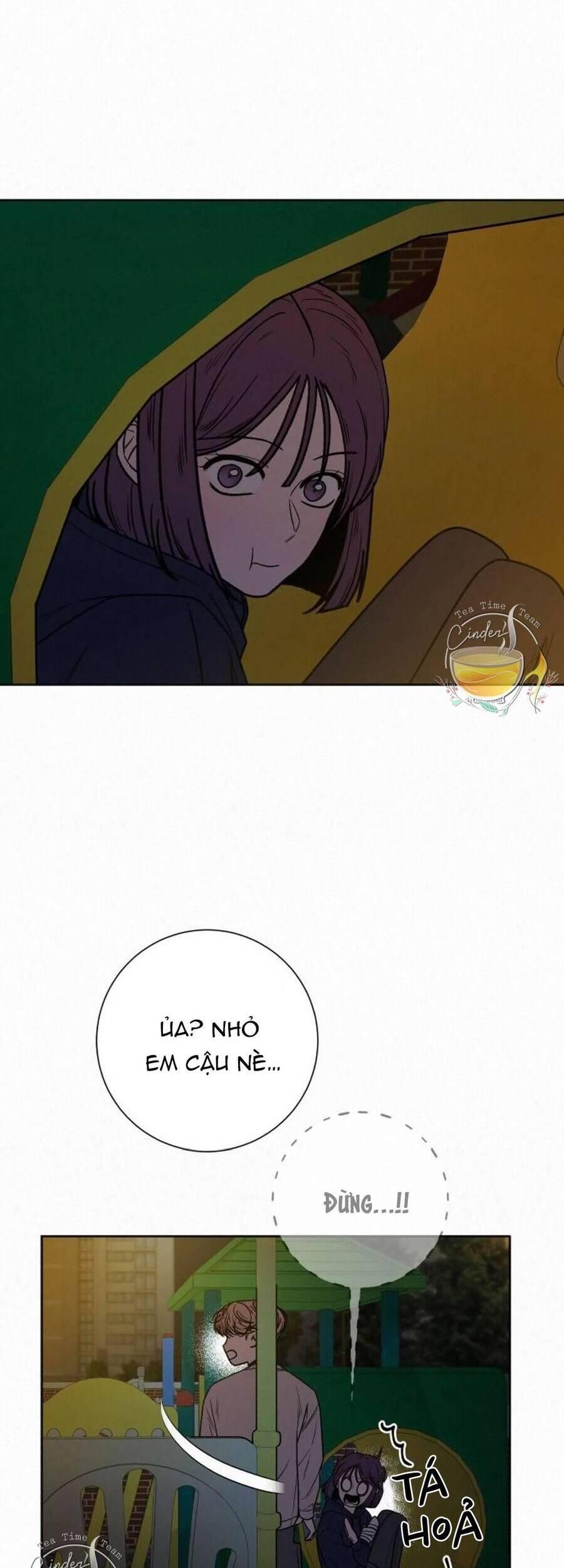 Tình Yêu Trong Sáng 