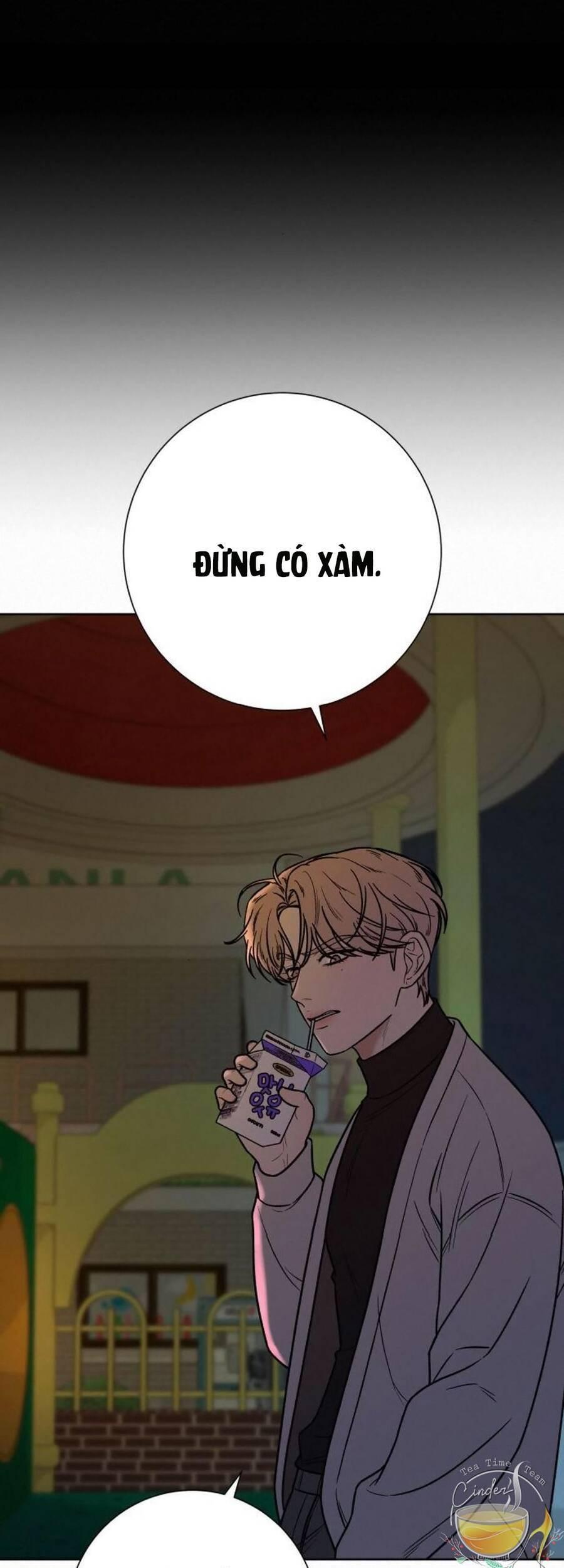 Tình Yêu Trong Sáng 