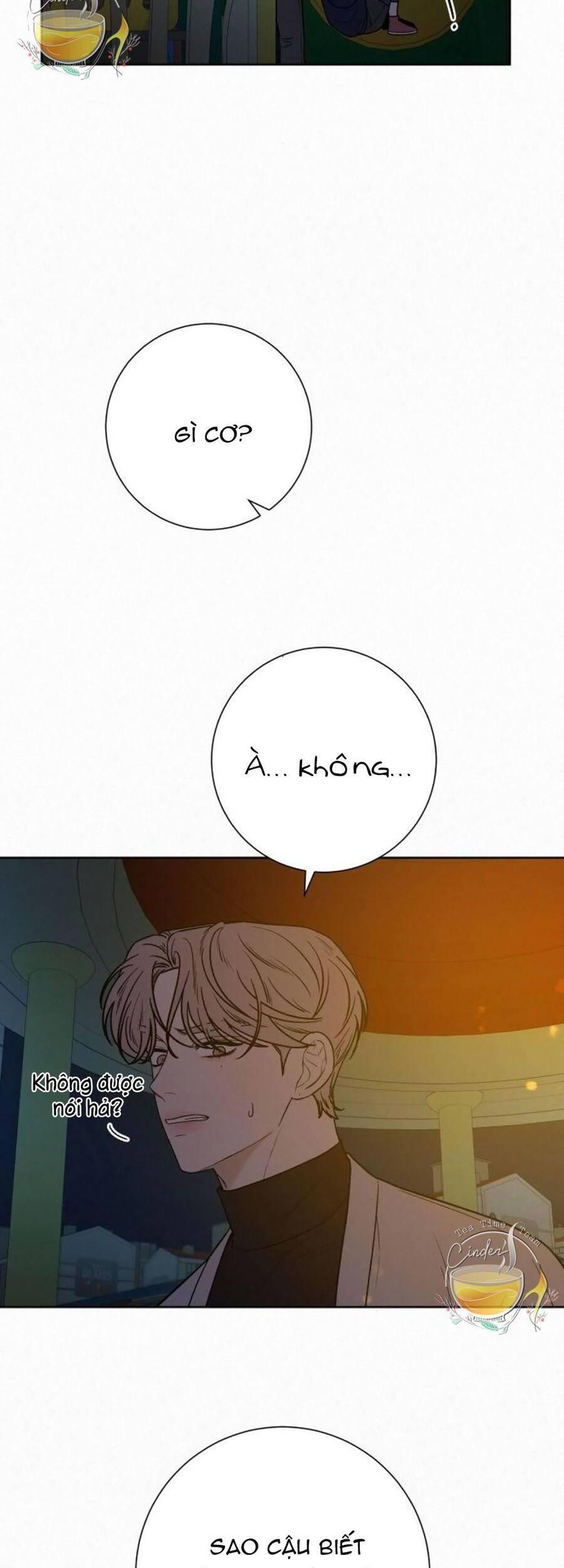 Tình Yêu Trong Sáng 