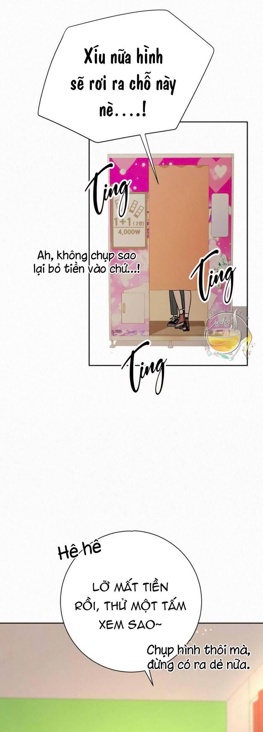 Tình Yêu Trong Sáng 