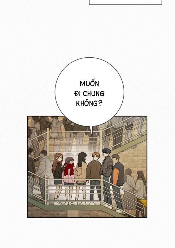 Tình Yêu Trong Sáng 