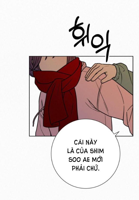 Tình Yêu Trong Sáng 