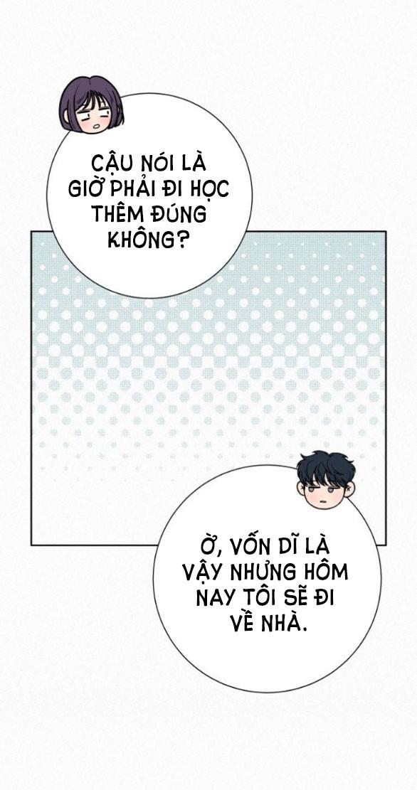 Tình Yêu Trong Sáng 