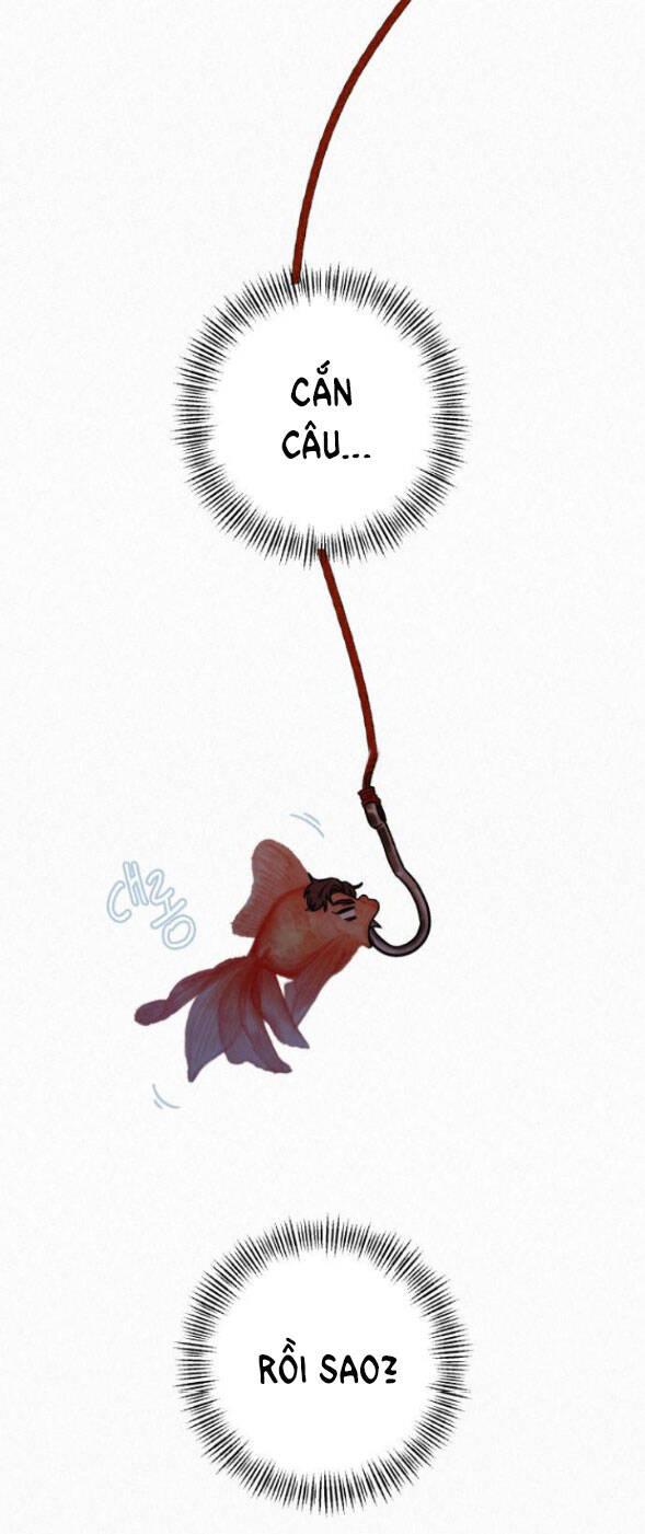 Tình Yêu Trong Sáng 