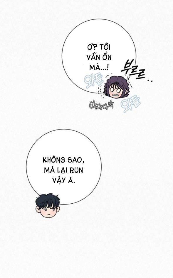 Tình Yêu Trong Sáng 